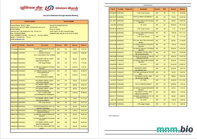 India Union Bank Of India konto statement Word i szablon PDF, Wersja 3